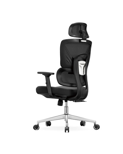 ErgoMesh Elite™ – Zenith
